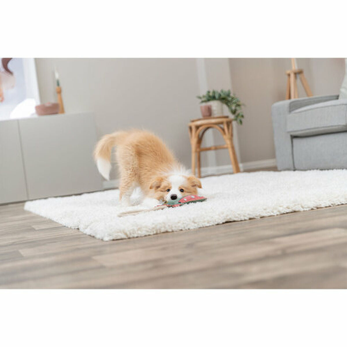 V4HE8658888C297B10830B199BA08EF2FCDR7463044P6