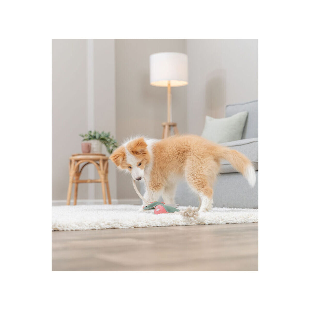 V4H1A873701FC30C6BDD86C3748B530BF71R7463046P7