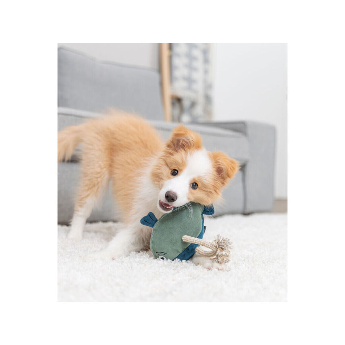 V4H530C881F4CCA9DF20A9C01CD3B93417FR7462291P9