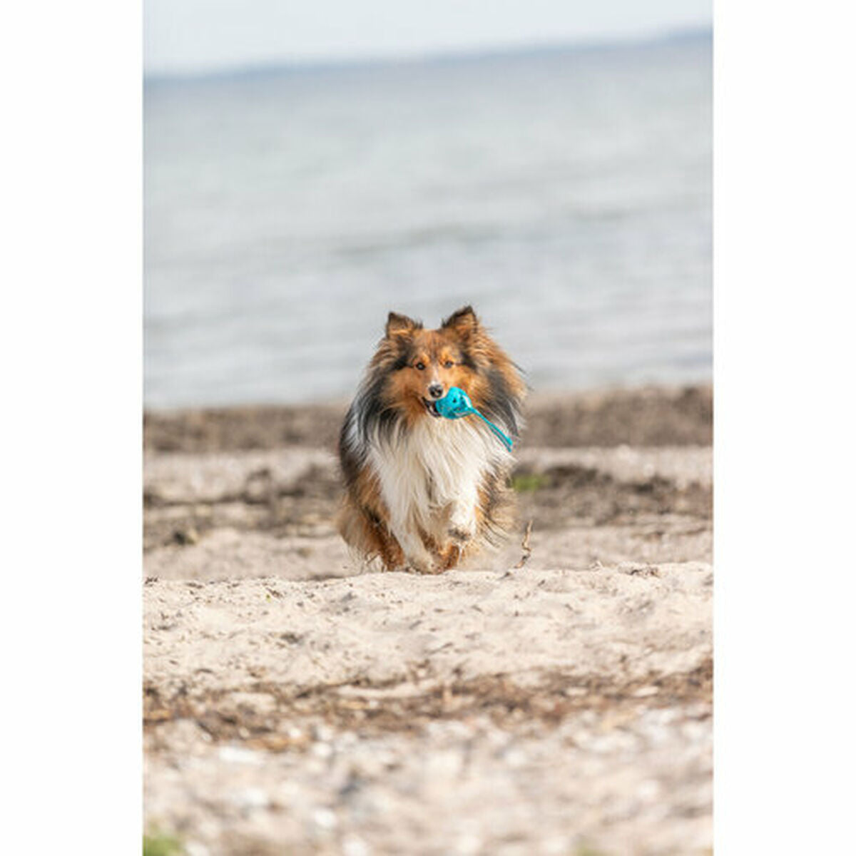 V4H62BCA9FA80CDE11CB64A7614D6AD6A55R7448909P8