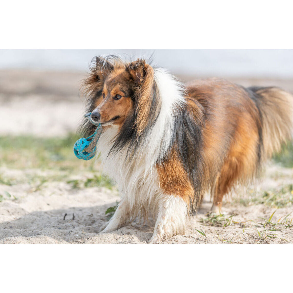 V4H86A4D6AEAB74F43883D1C2DD1F191587R7448911P9