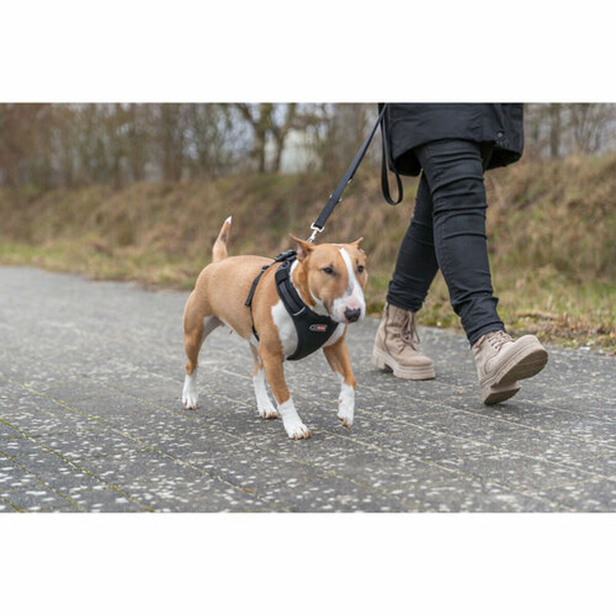 V4HF7938086F6A5A9E625ACD81825FE0F88R7451939P8