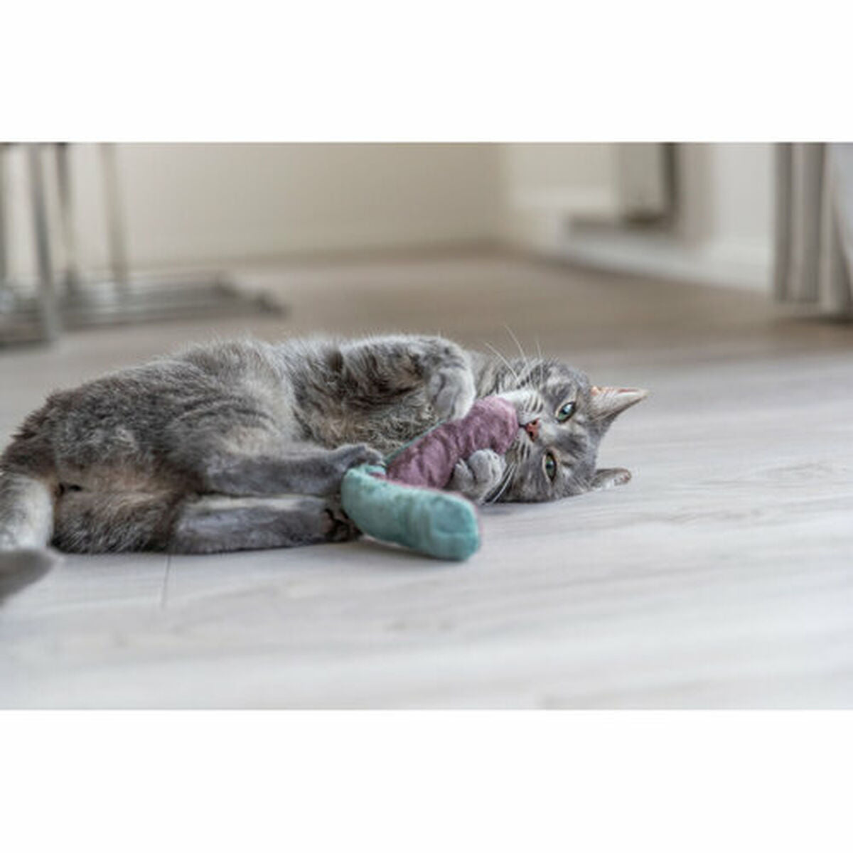 V4H9A52AB50623720CA7134C3C2967C5FE7R7462231P6