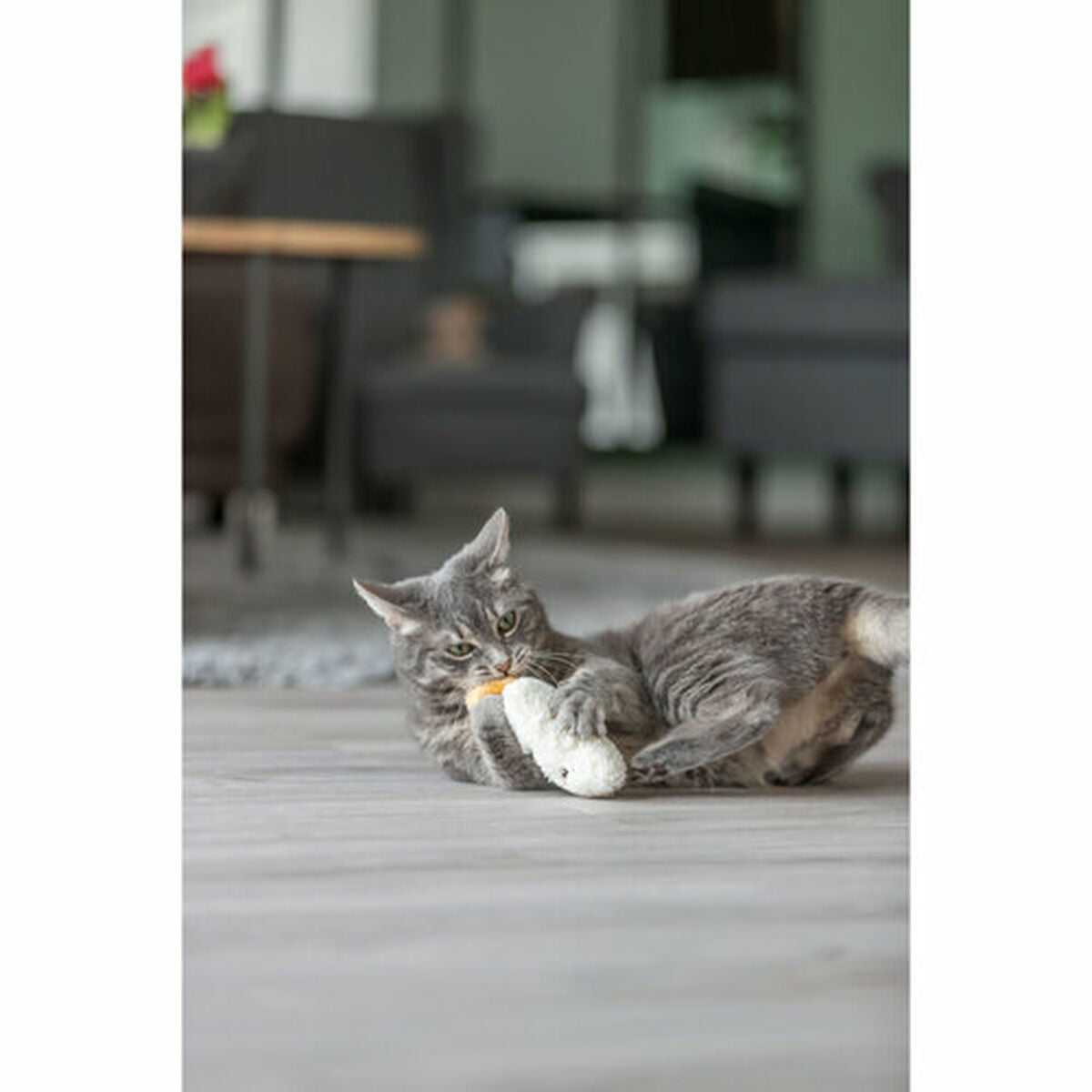 V4H0DD8CDBC1A00A2687EEA588BF424DD52R7463170P8