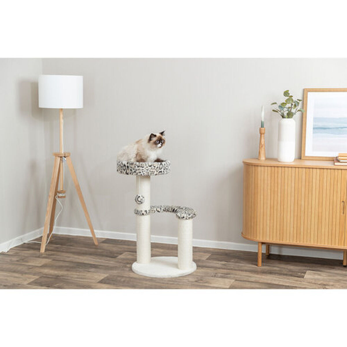 V4HAB859E554C0C681DBA25246A350BEA62R7428854P6