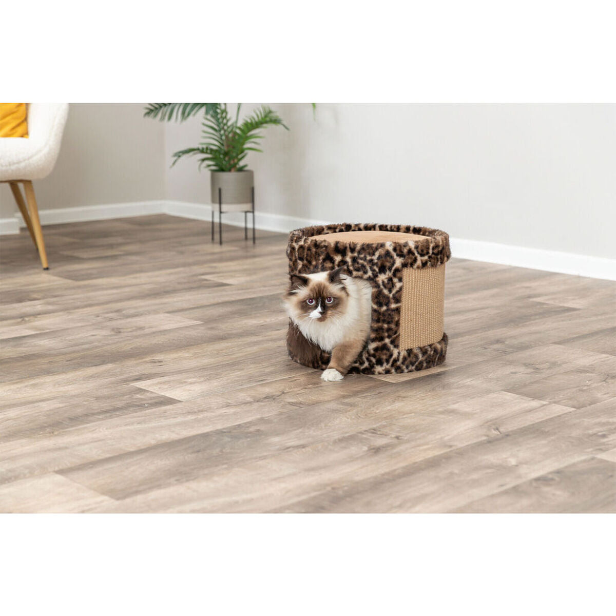 V3H0F10AD13E0F55D47609DB99C23FA1F47R7429203P3