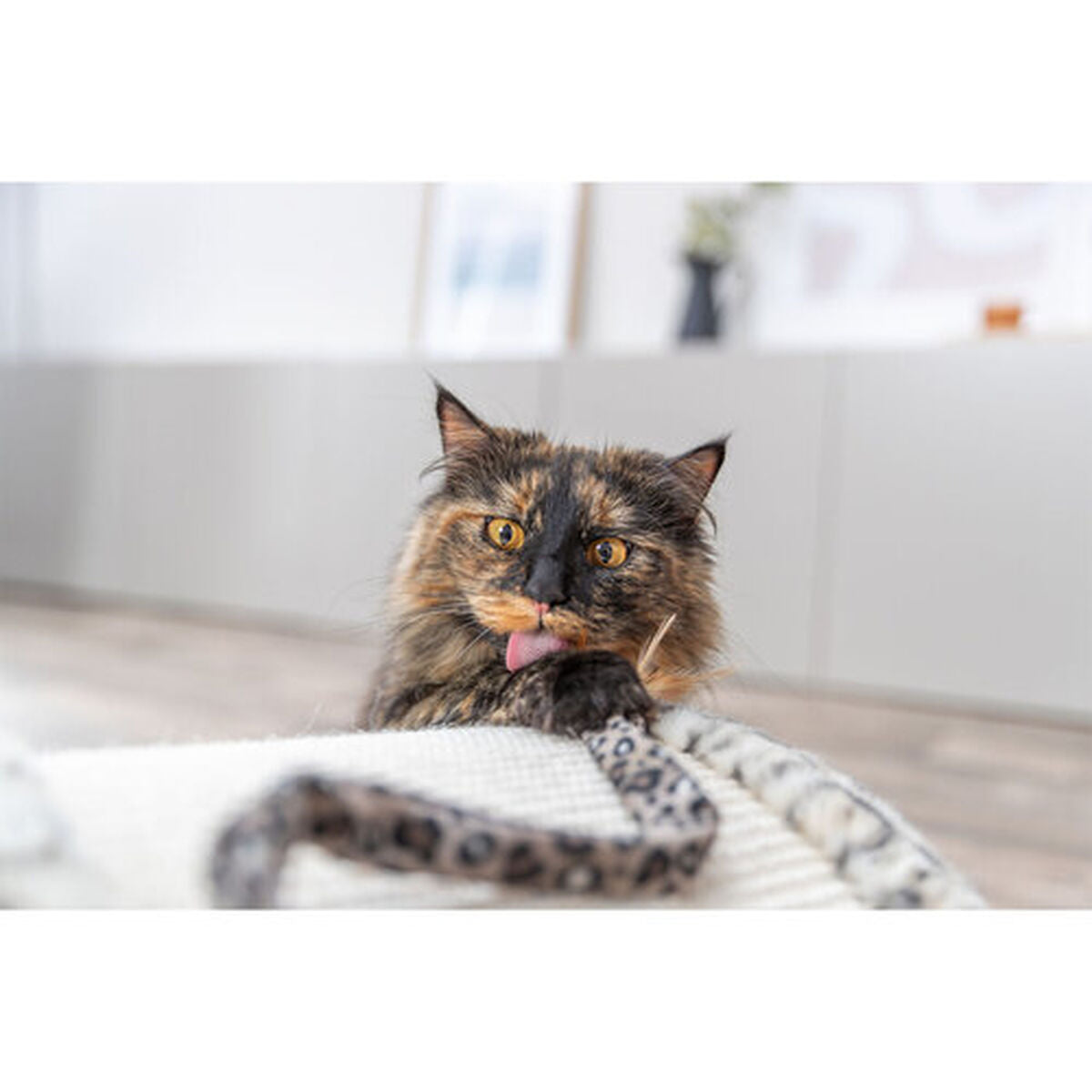 V4H680B66F4BD43F41F23B76E68C949286CR7431713P8