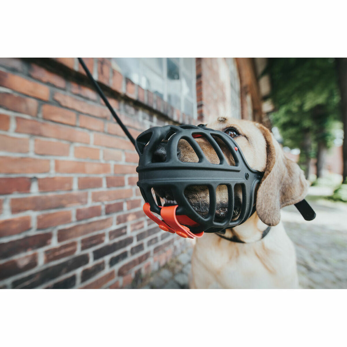 V9H8AB3354EEBF50964B6CFB451C2FBA561R4389384P3