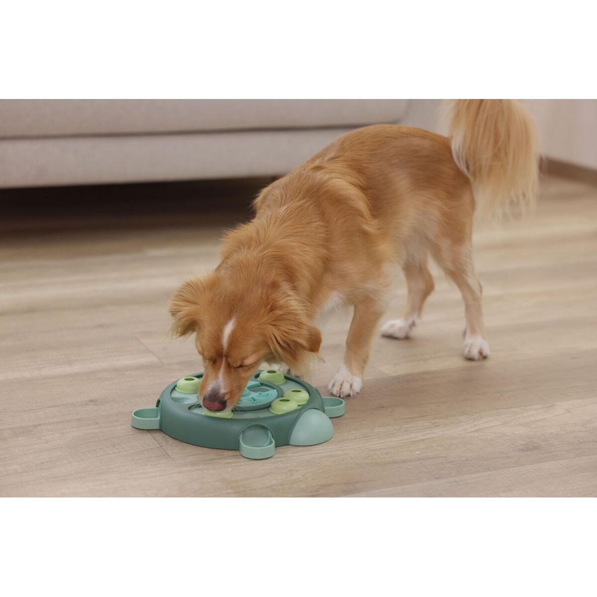 V2HC0BE96306FBEEEC6B0FA63C61AB3E472R7467340P8