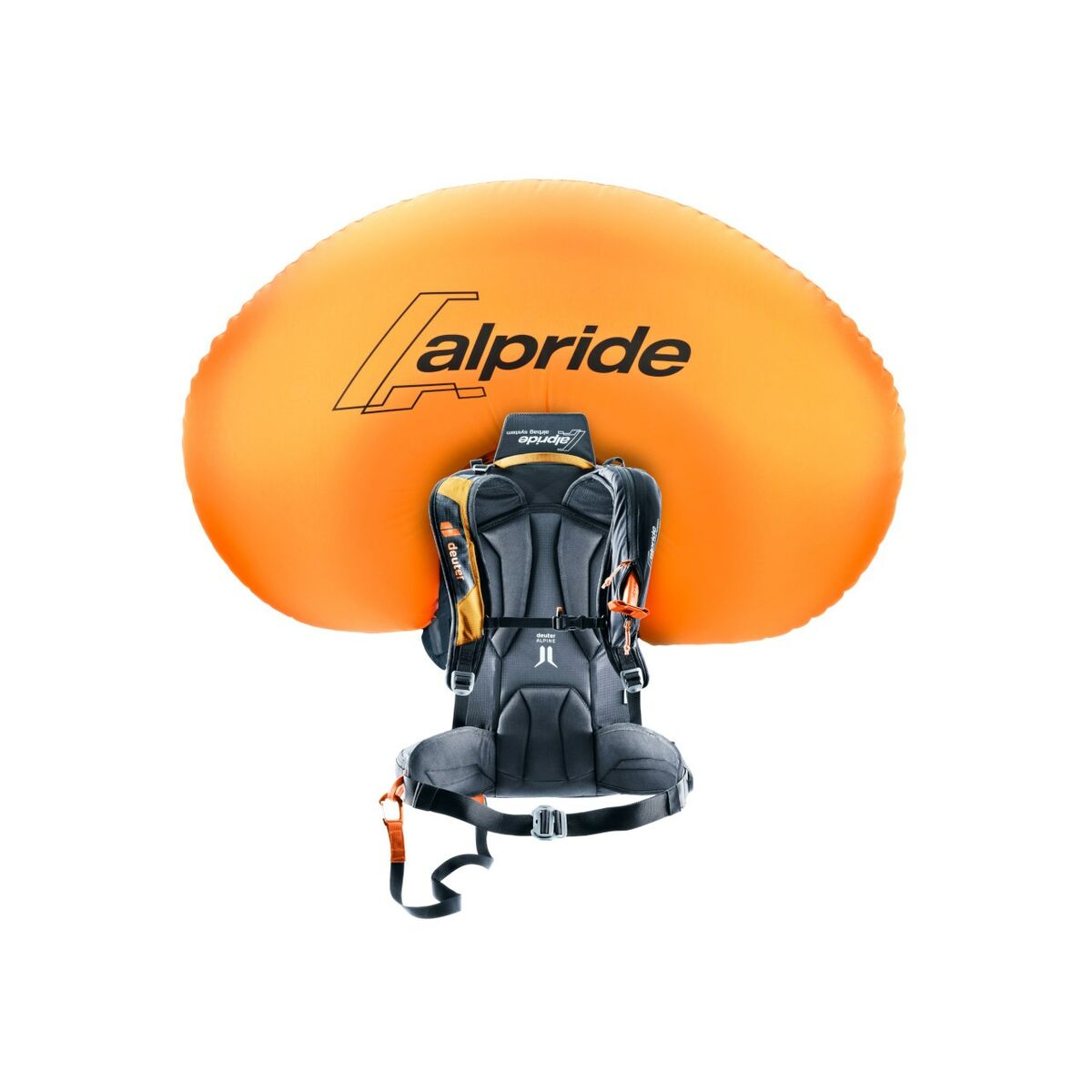 V7HC9BFAE1A3E1E8D3DE5BA2207A355C115R6409587P3