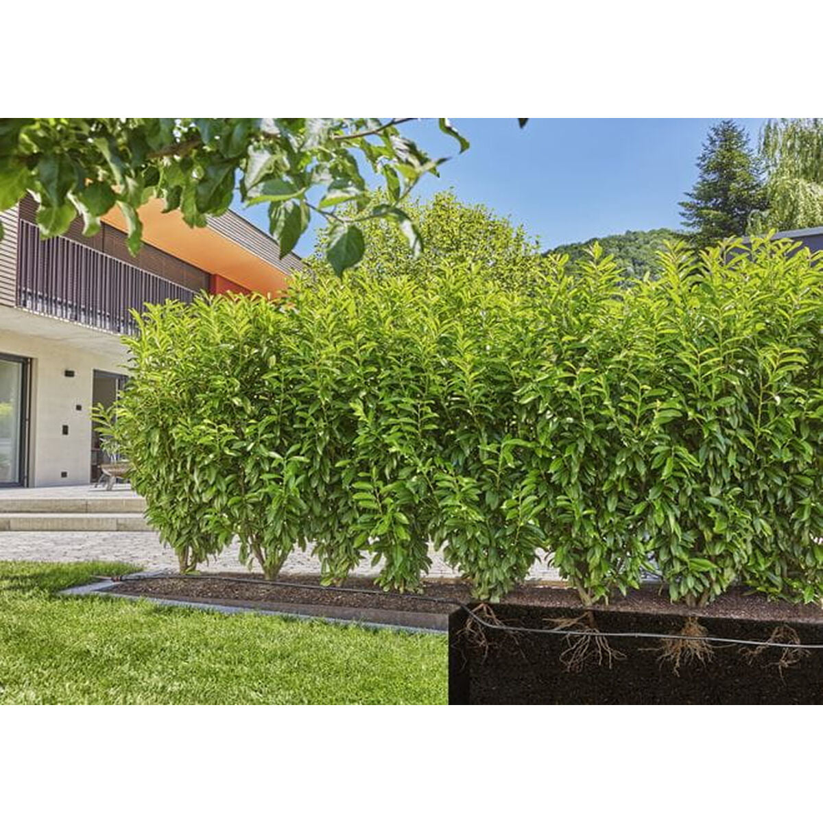 Tubo antigoccia Gardena 13504-20 Estensione 50 m