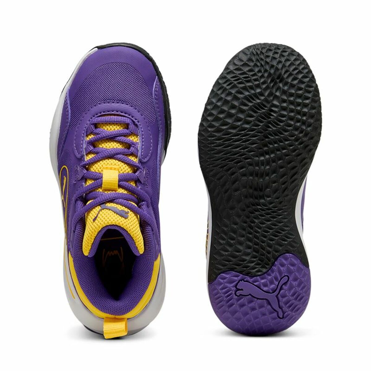 V2HA0279F50111E237FF33682551B5D4A25R6072326P3