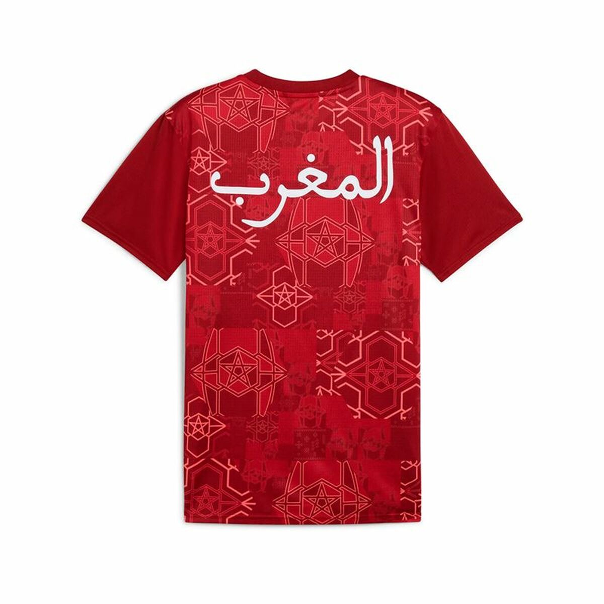 V5H53D87BE03AE98B323ACA5F9647C54017R6640029P2