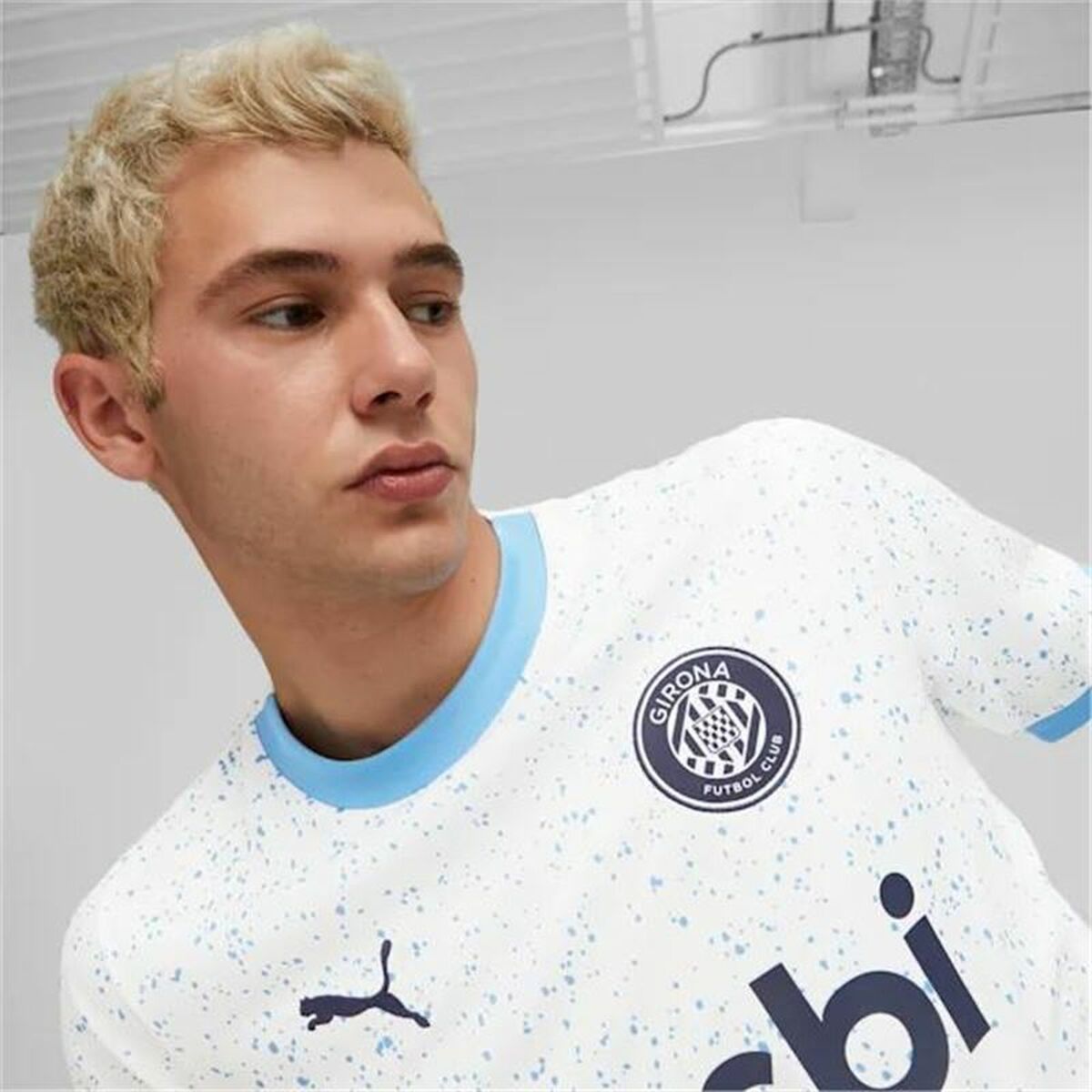 V6H8AE3397F1628E8159A256302F9B6C2B8R4409561P5