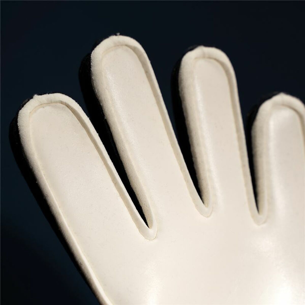 V2HCB759BFB7F9FFB47D9D2E226E6B16A28R5562831P4