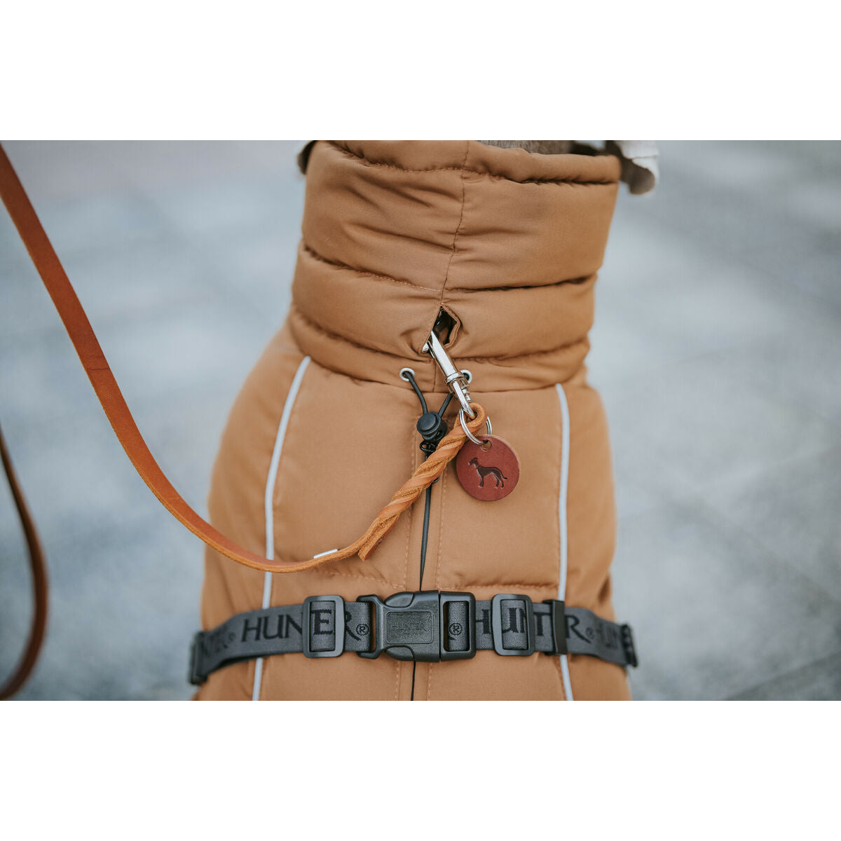 V5HF70804762AE1DCDE5636C9FE92C3CC52R5575900P7