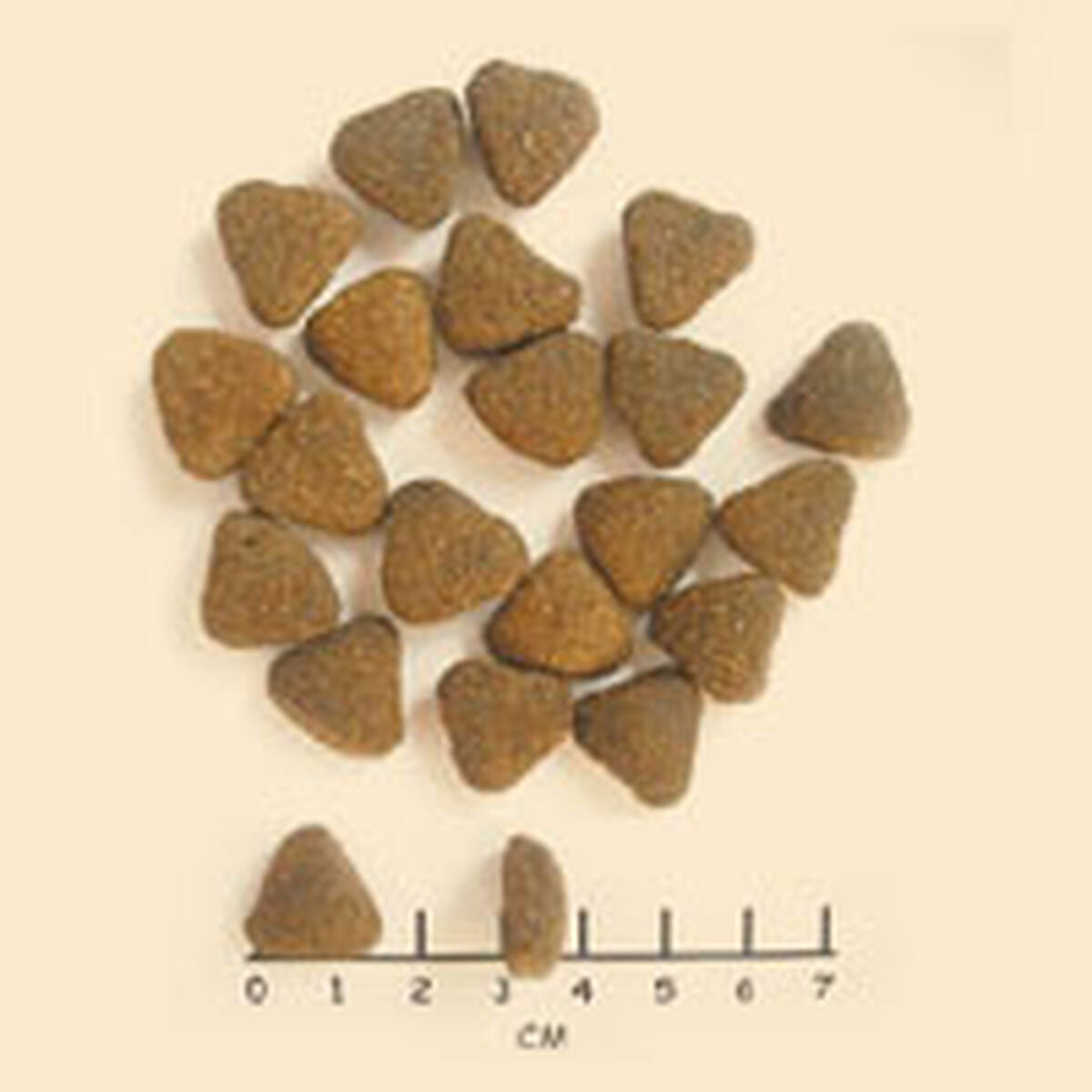 V4H5561816C8778C3D2A529A8ACB3790E84R6454197P4