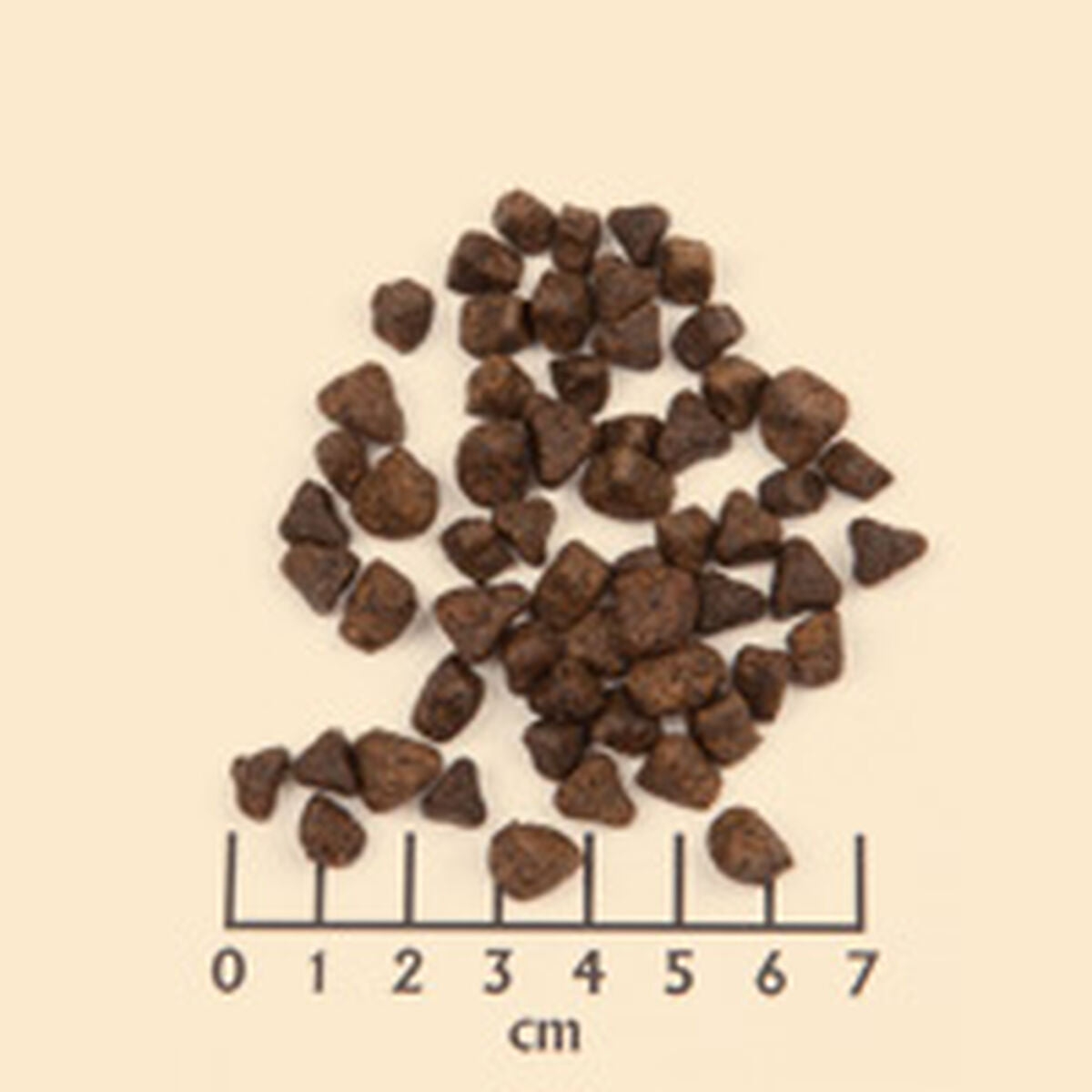 V4H9DE1FBC5959EEF60FCEE2D5839A370B3R6454323P4