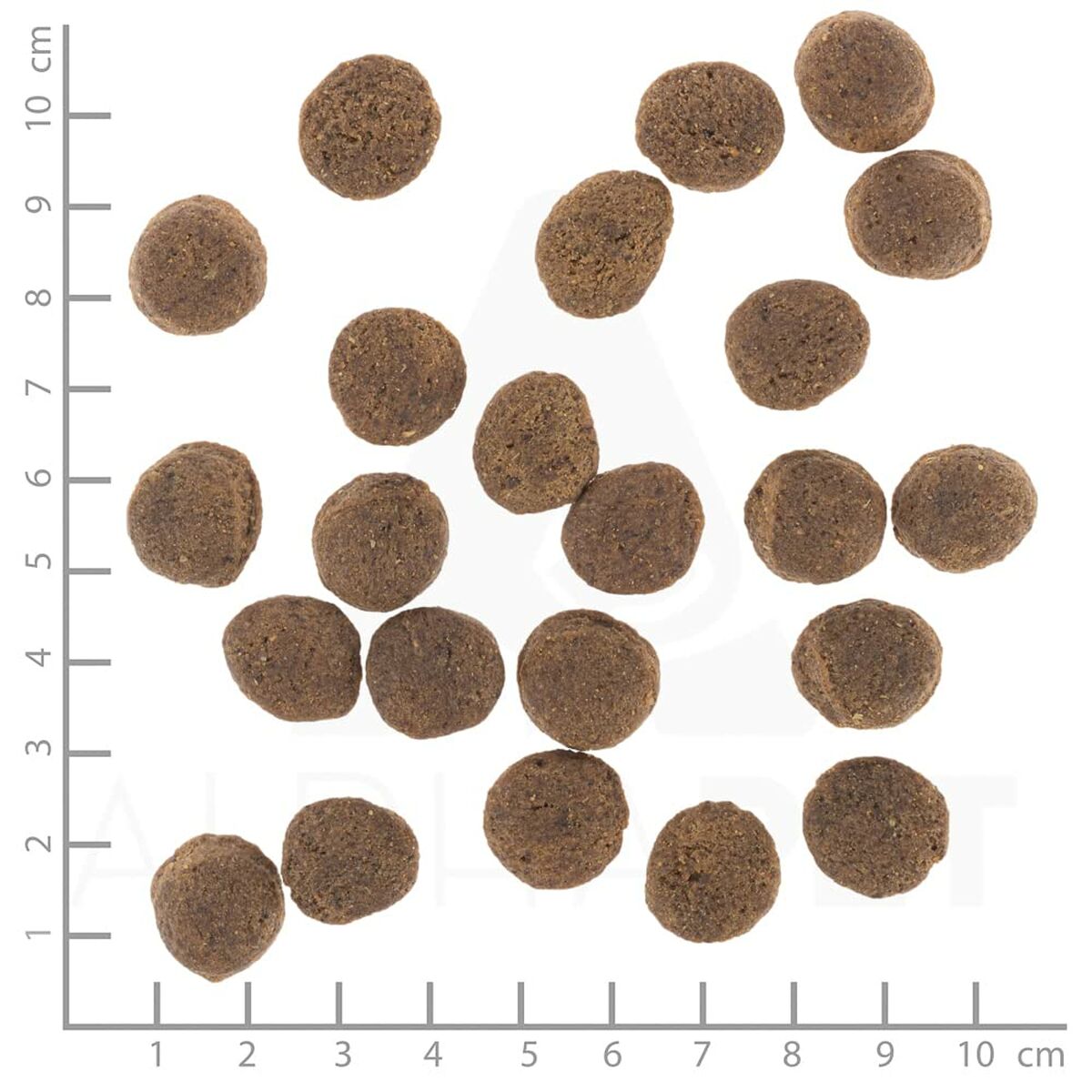 V4H0647D87642BED21C8F0F4EF2929D1624R6454426P9