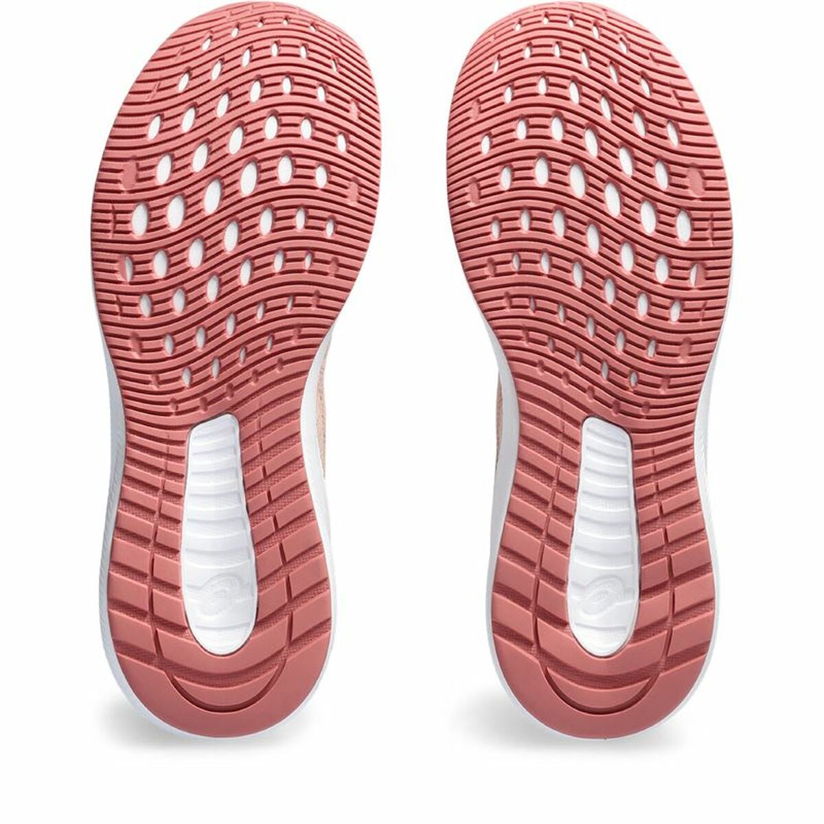 Scarpe da Running per Adulti Asics Patriot 13 Donna Marrone Chiaro