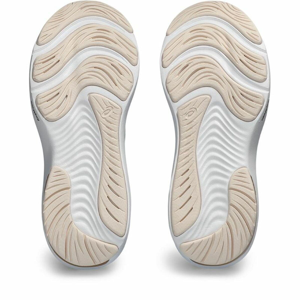 Scarpe da Running per Adulti Asics Gel-Pulse 14 Donna Acquamarina