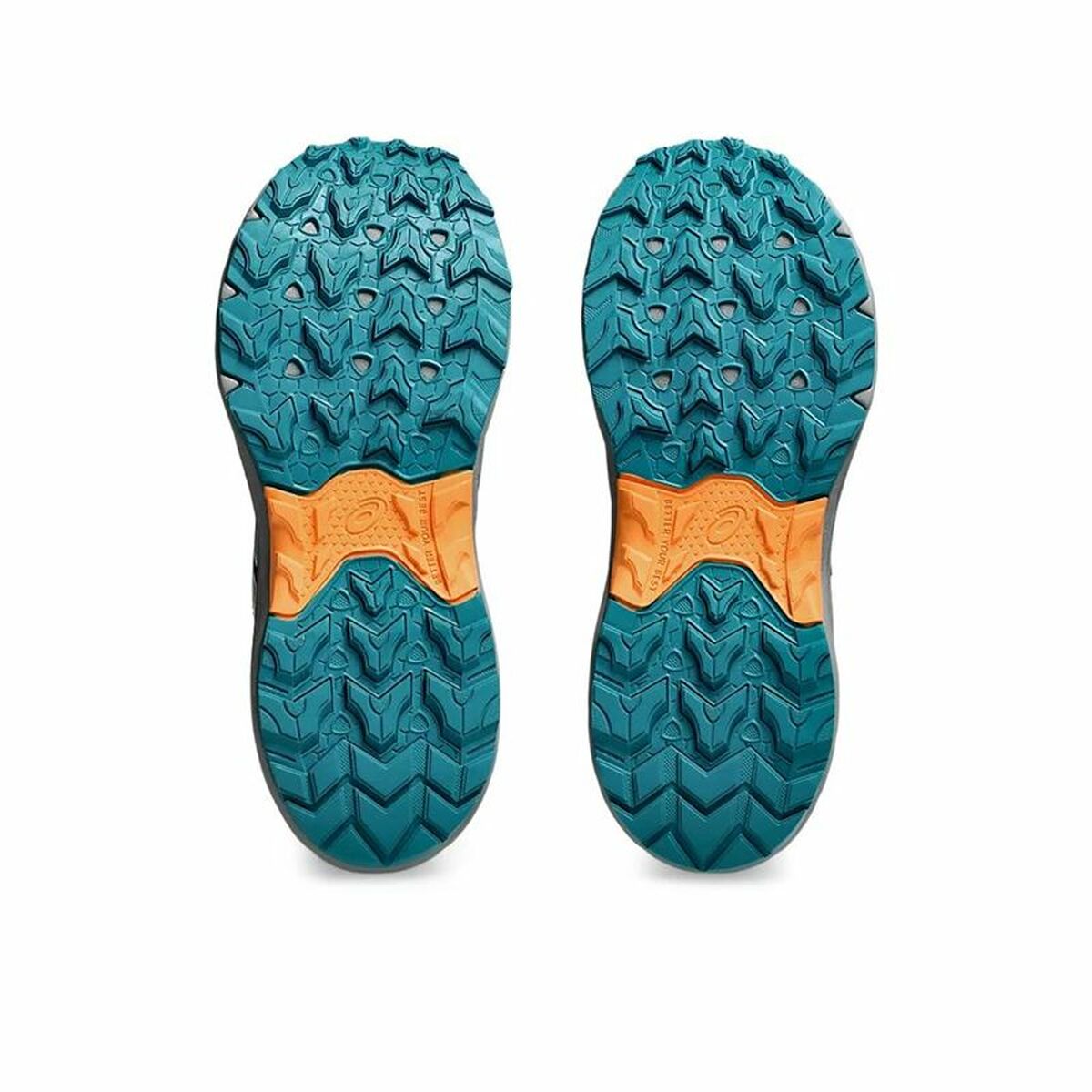 V4HA8670C0AA1D1A6C2B031BF8300D8296FR5311821P3