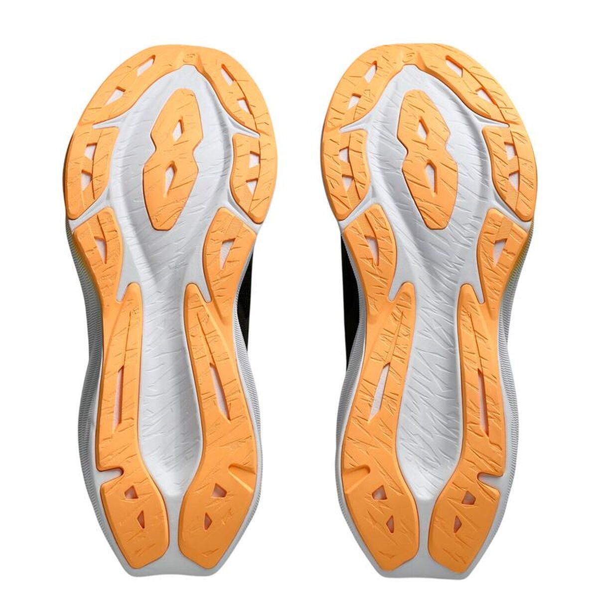 V3H48AE4D250C2EE5C1BAB7FFFE2E1240EBR7583746P3