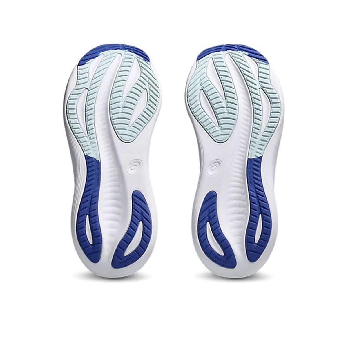 V2H7C2F16787E7AE903195F02D731748511R7583860P4