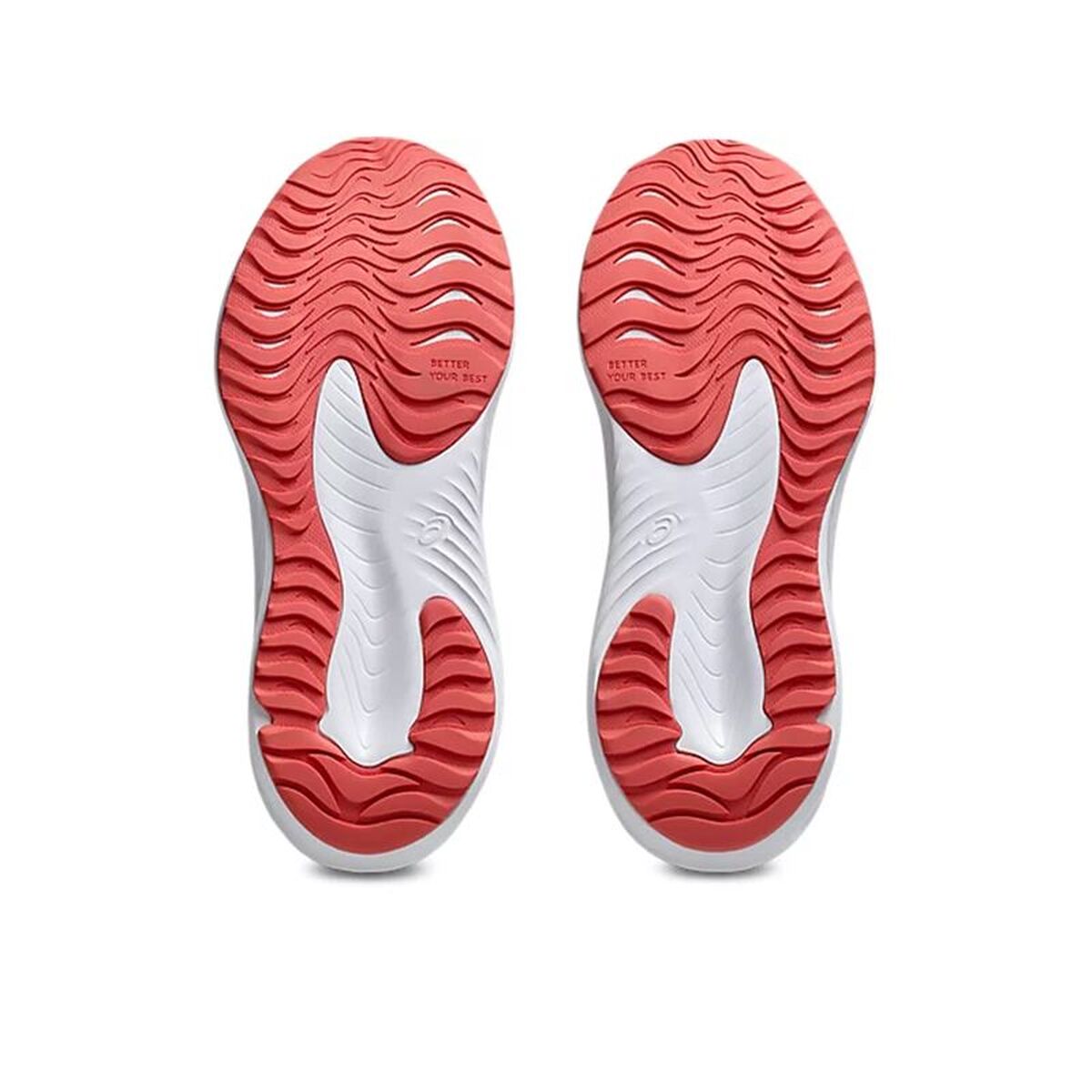 V2H953ED2F262F32A3F3BE71FD34FD7A686R7584541P4