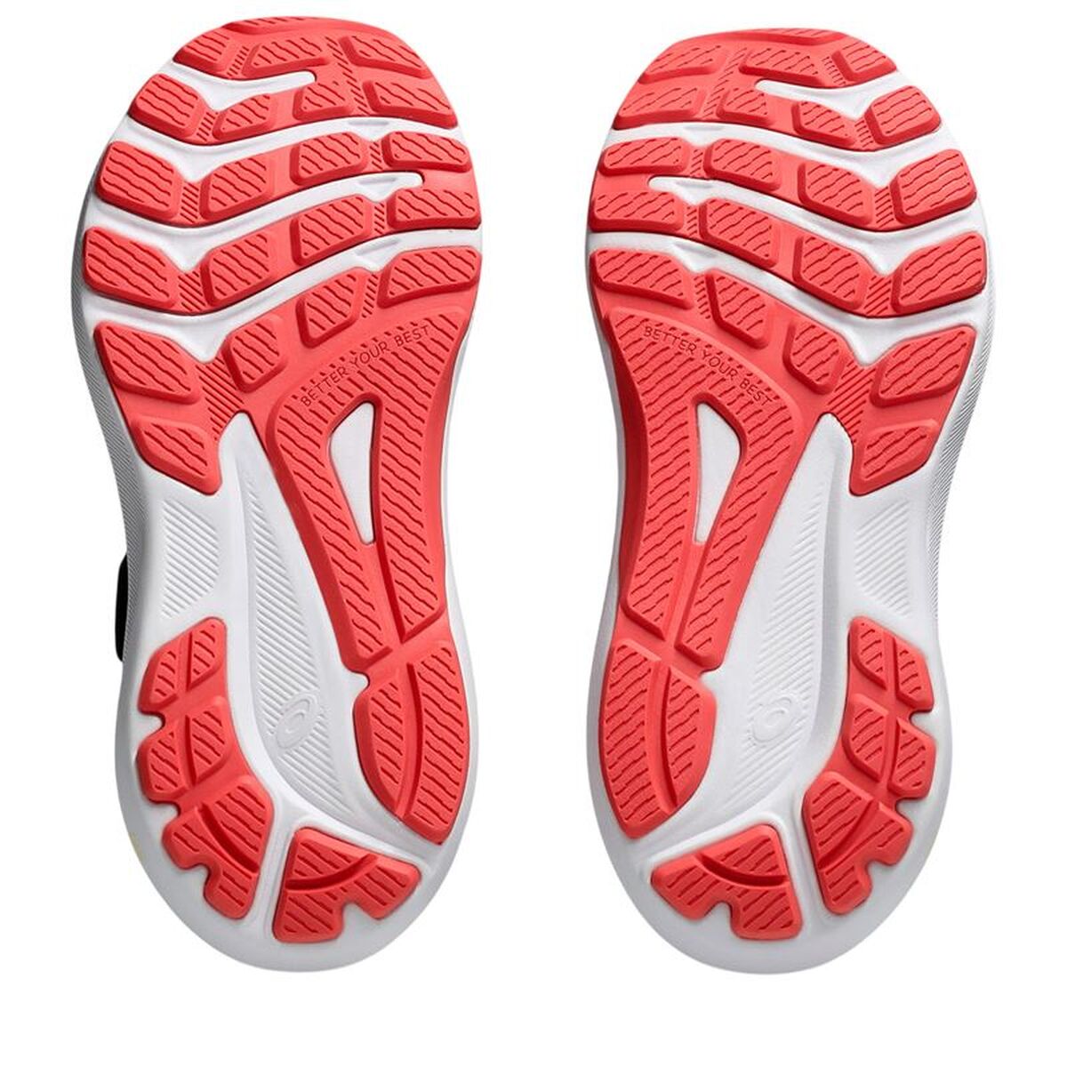 V2H8C1E980A034BB0B5E66A3BFC92DB06BBR7584161P3