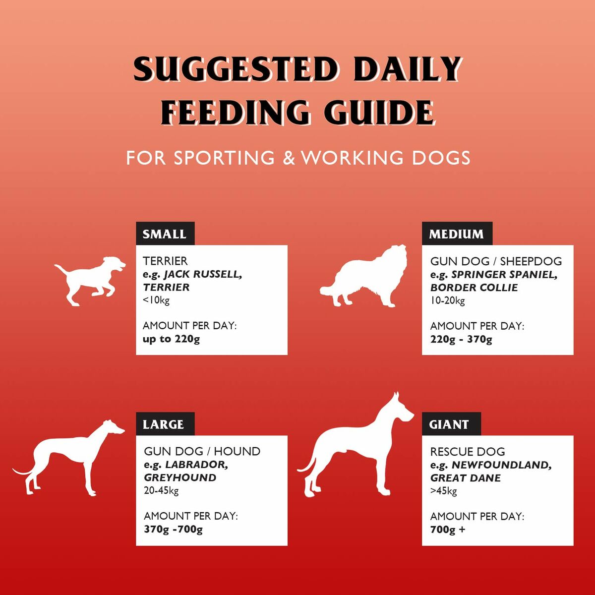 V4HB8346FBD718FD1E88BCD9F7A51A5ED13R6450385P5