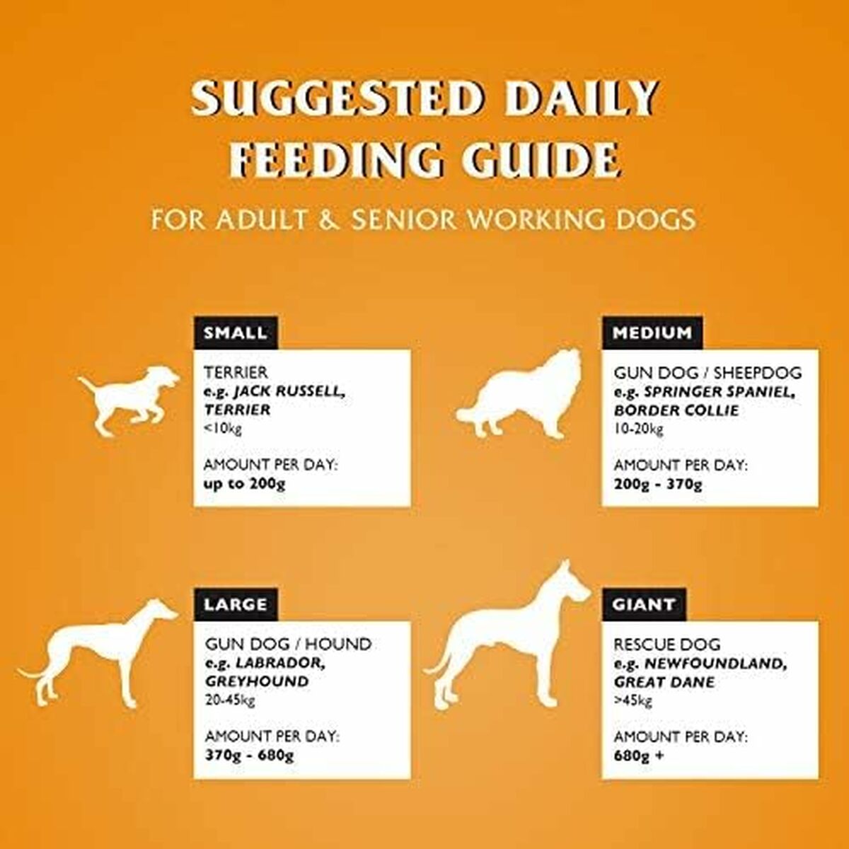 V4H95ED27FCB860973BD66203A8DDD7E849R6450299P4