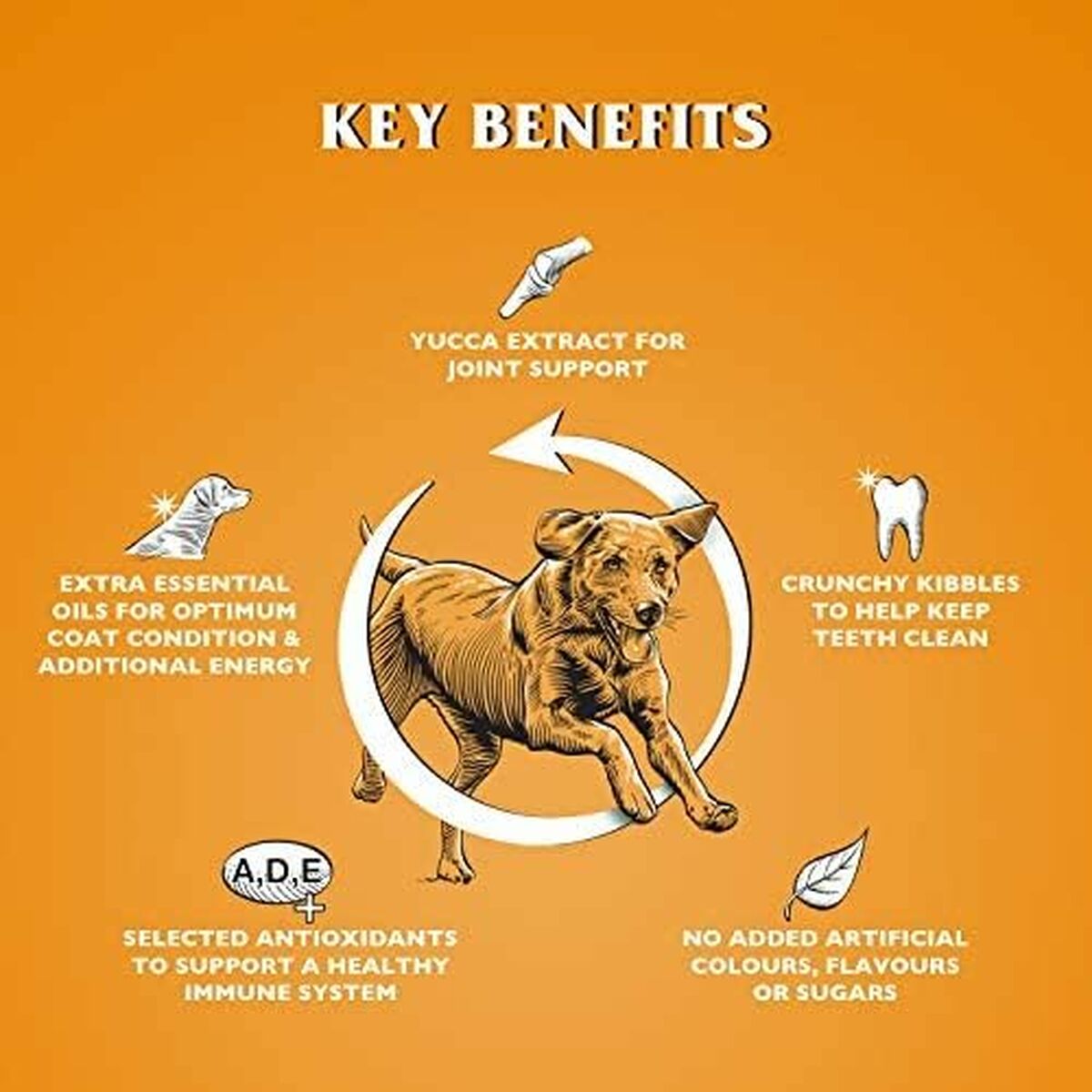 V4H251E16A8CD416FEBFA6C15DCEE38A711R6450300P5