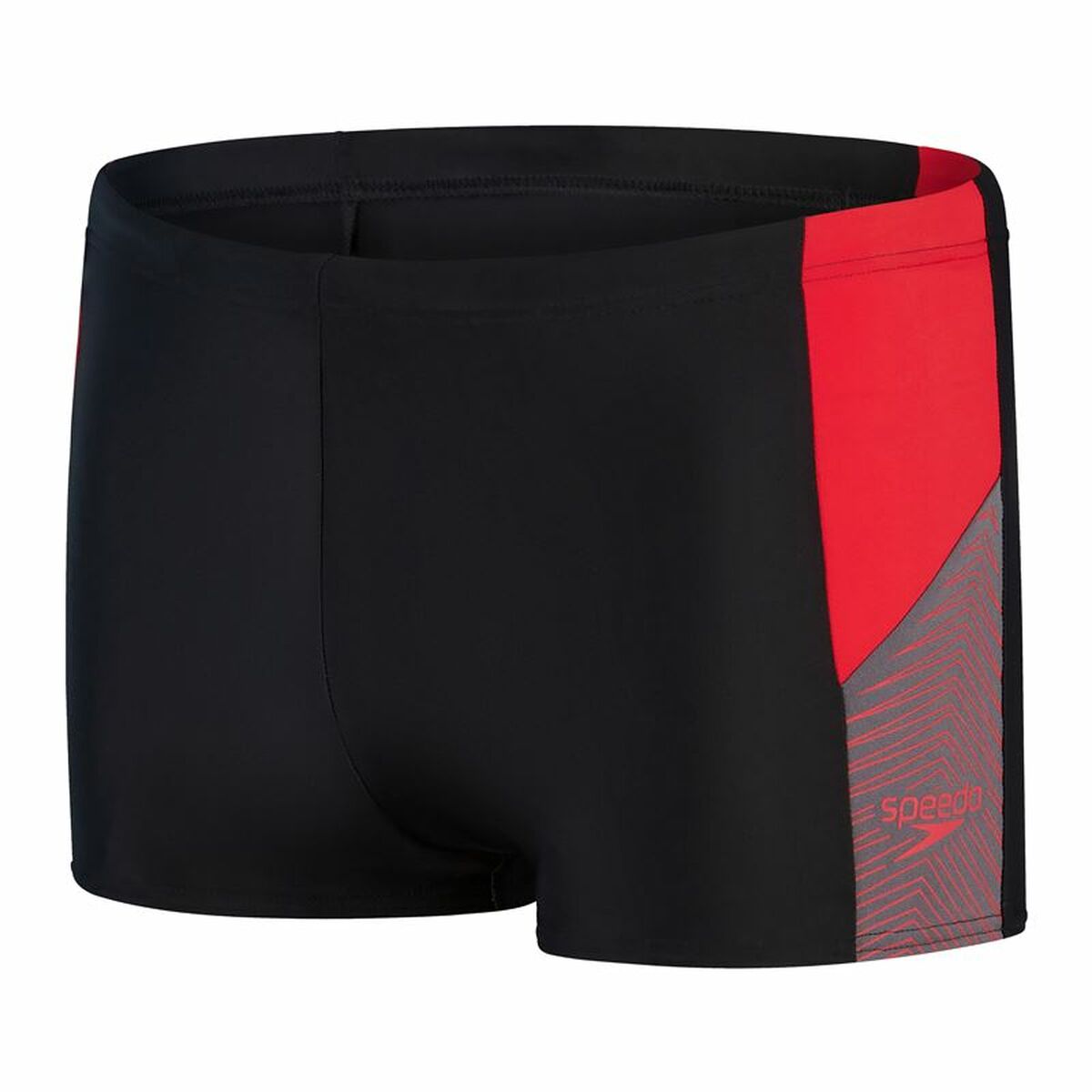 Costume da Bagno Uomo Speedo Dive Aquashort Nero