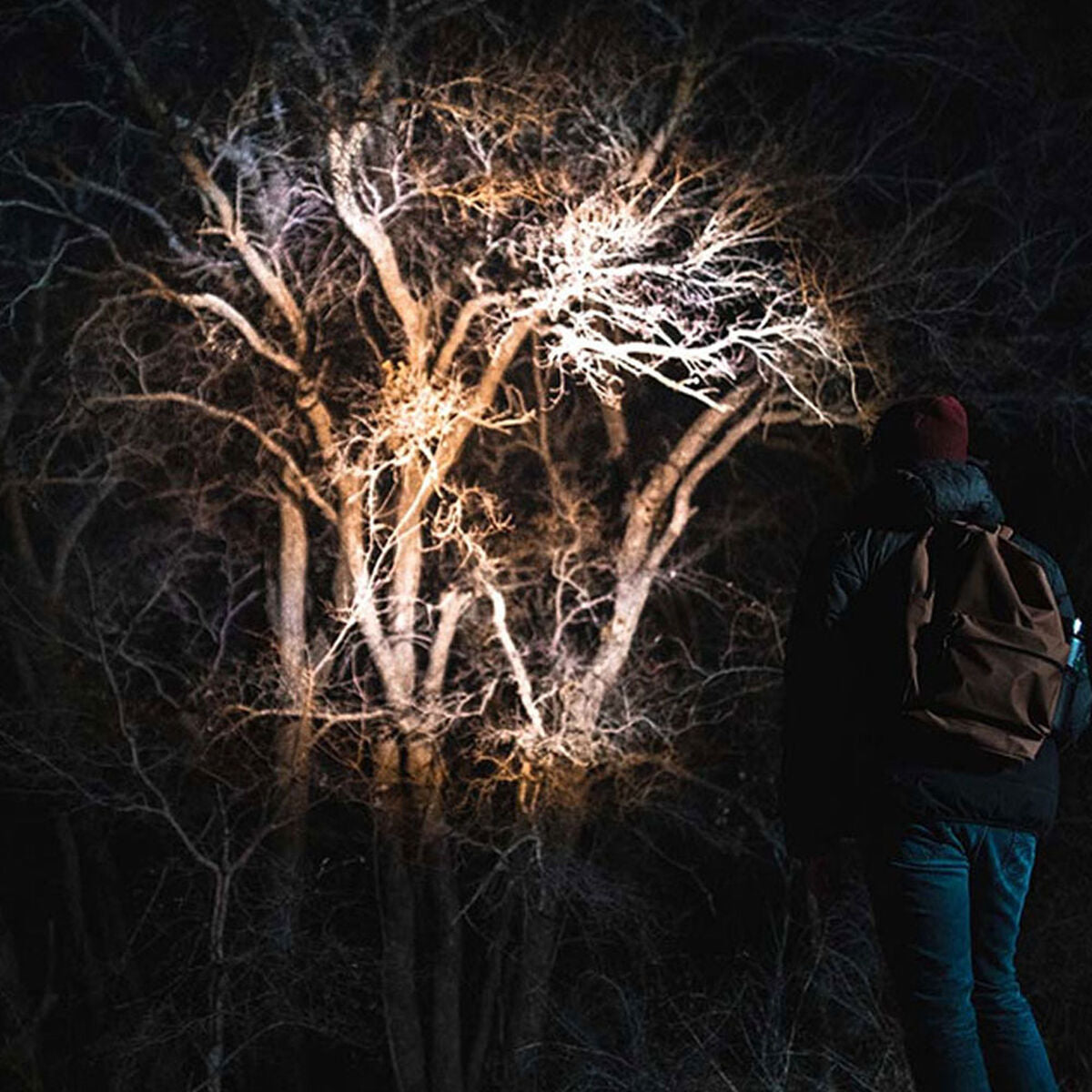 Torcia LED ricaricabile Nebo Davinci™ 1000 1000 Lm