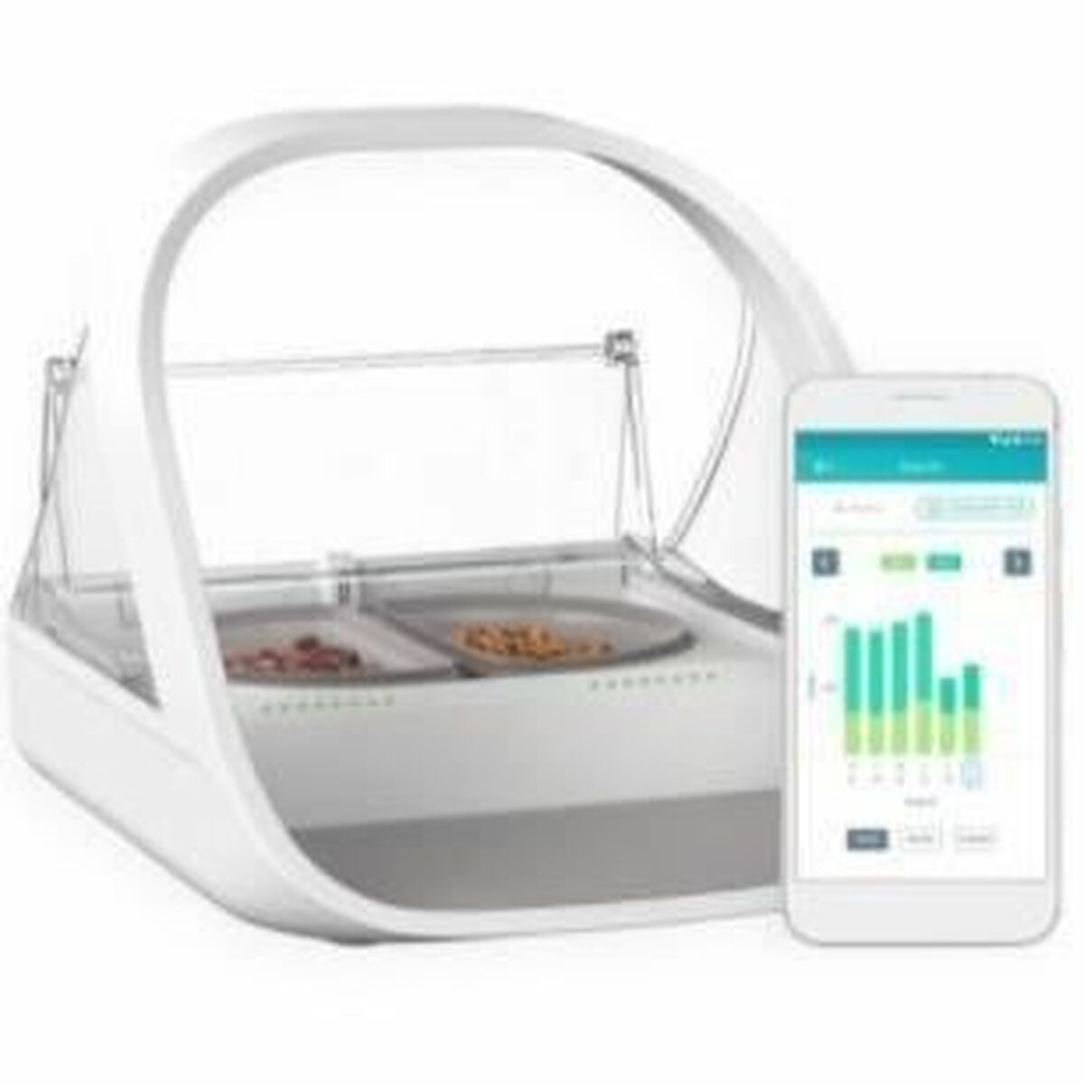 V7H739486FDE788217DB1B6F881AE4AD151R6690550P1