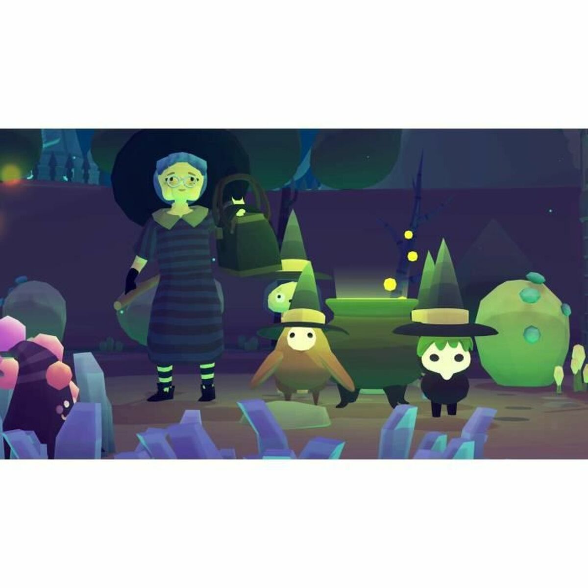 Videogioco per Switch Just For Games Ooblets