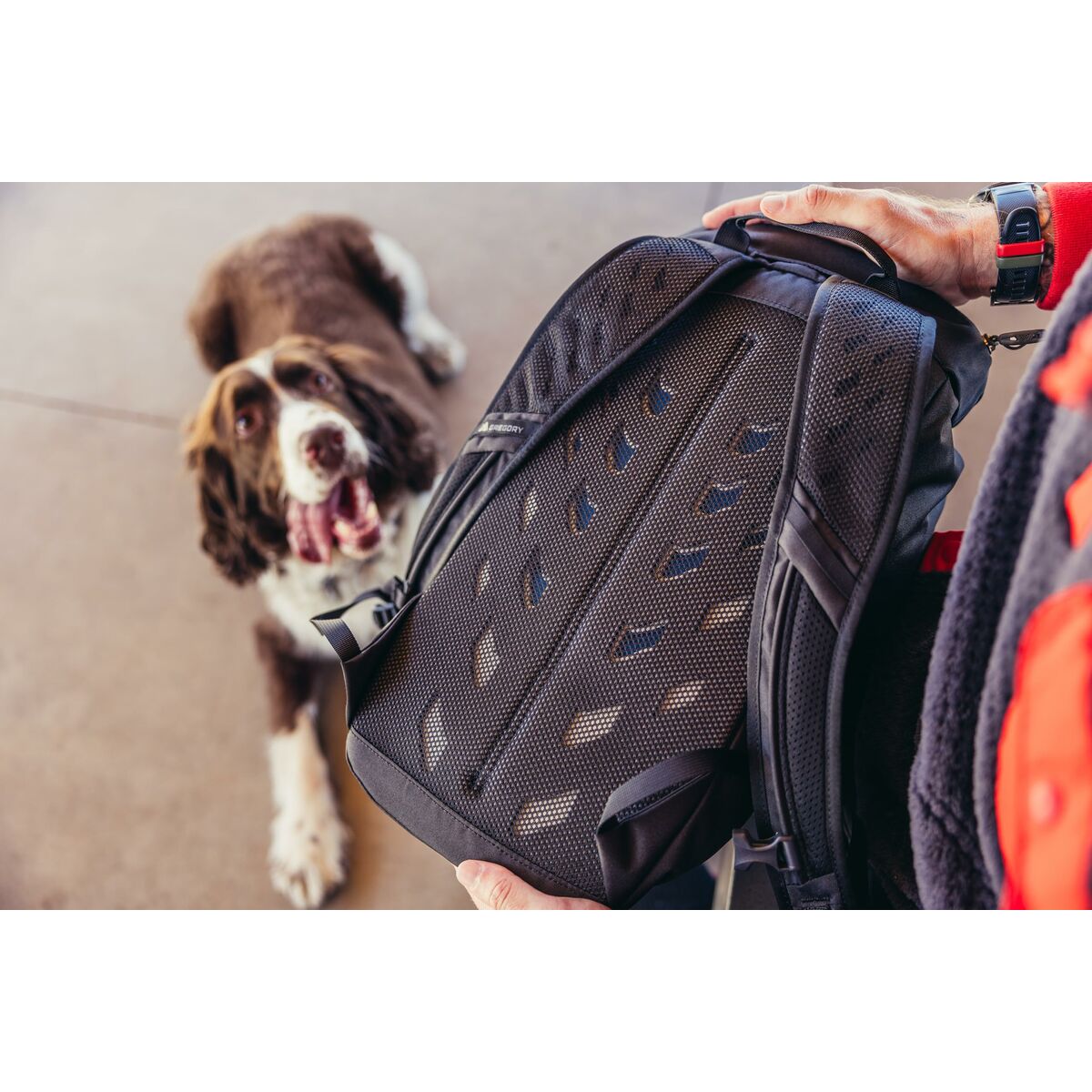 V7HF56374FA54F6460E6ED74654E4E9DFA0R6420759P4