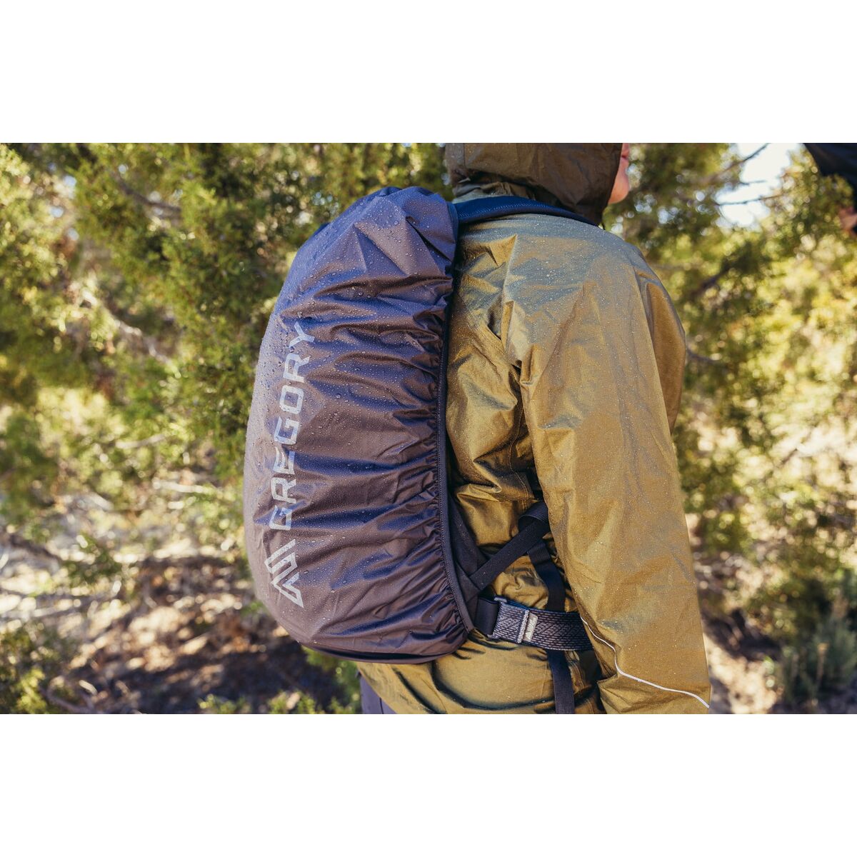 V7H1598FF63AB73A09DF44A6FA51C0DD011R6421010P8