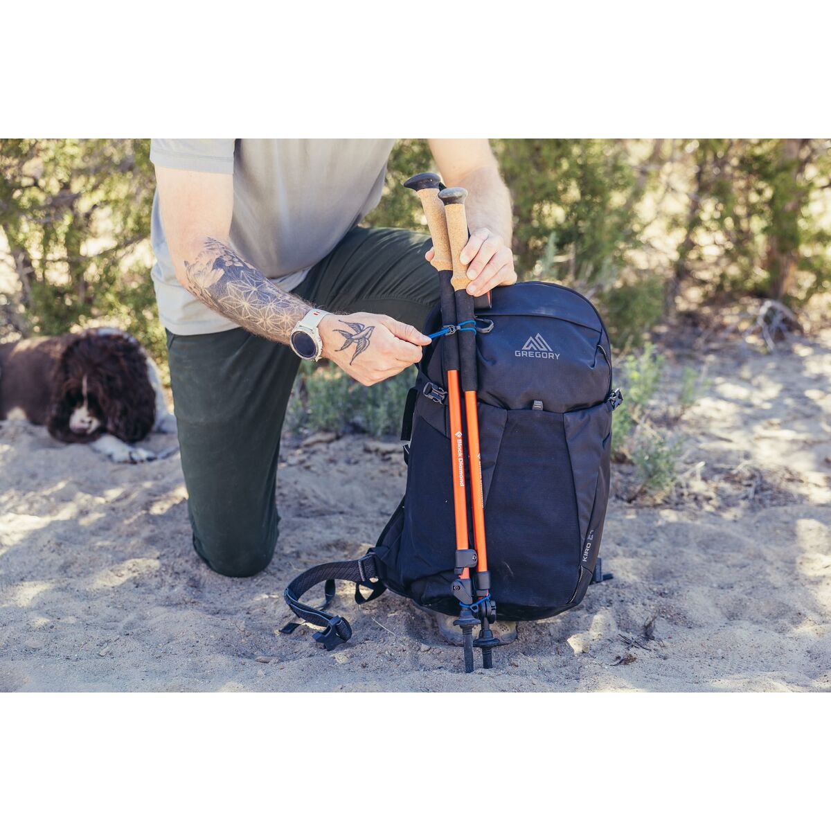 V7H66A035182D5F0D1934726E38E39737D5R6420043P8