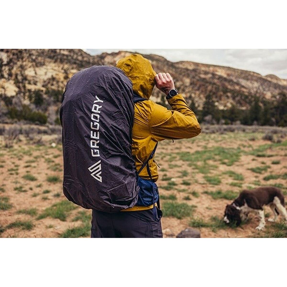 V6H91DD84B799FE32AB7F2C921610E90C35R6418443P4