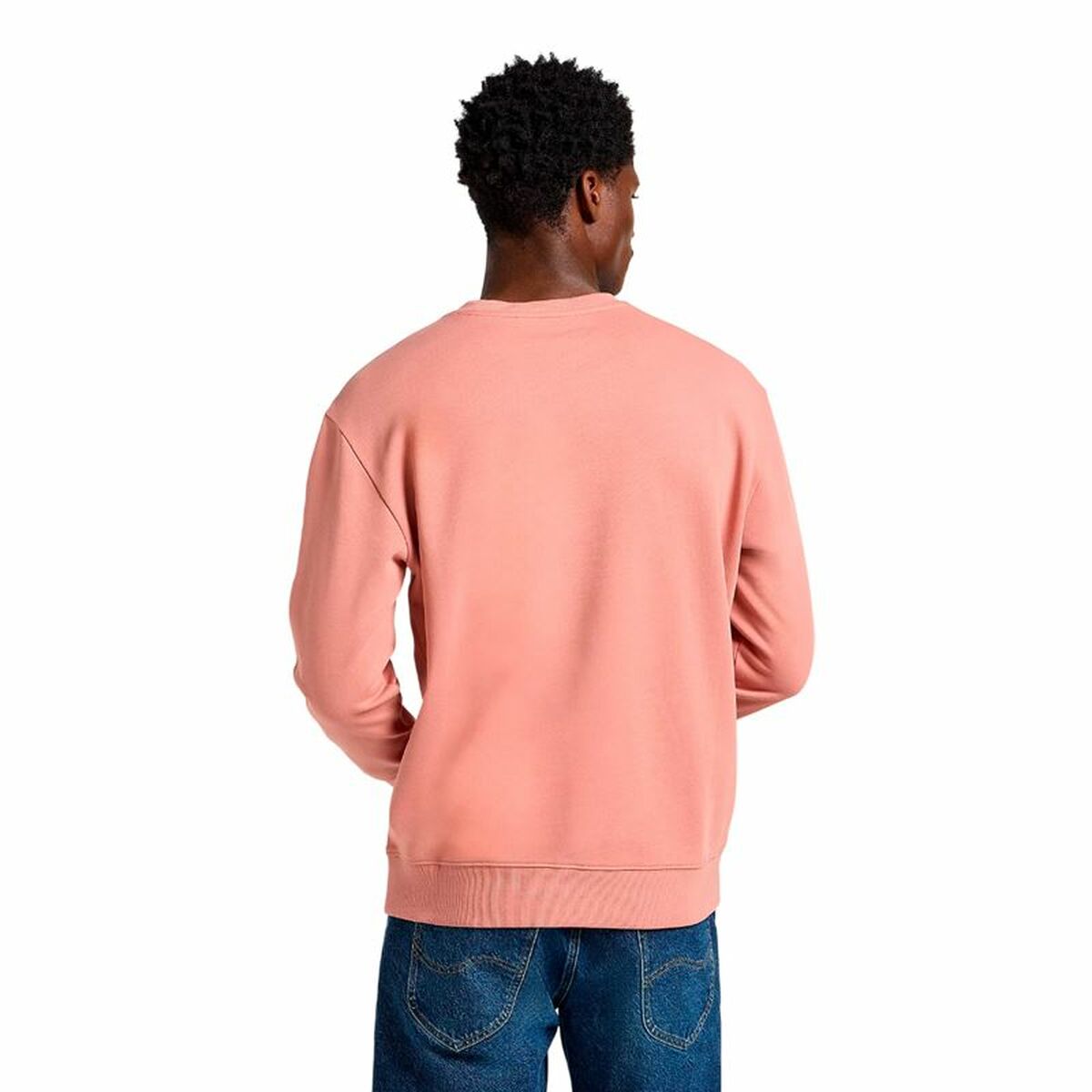 V5H0C3719023CFDD2D9225022DFF87D6490R6110447P2