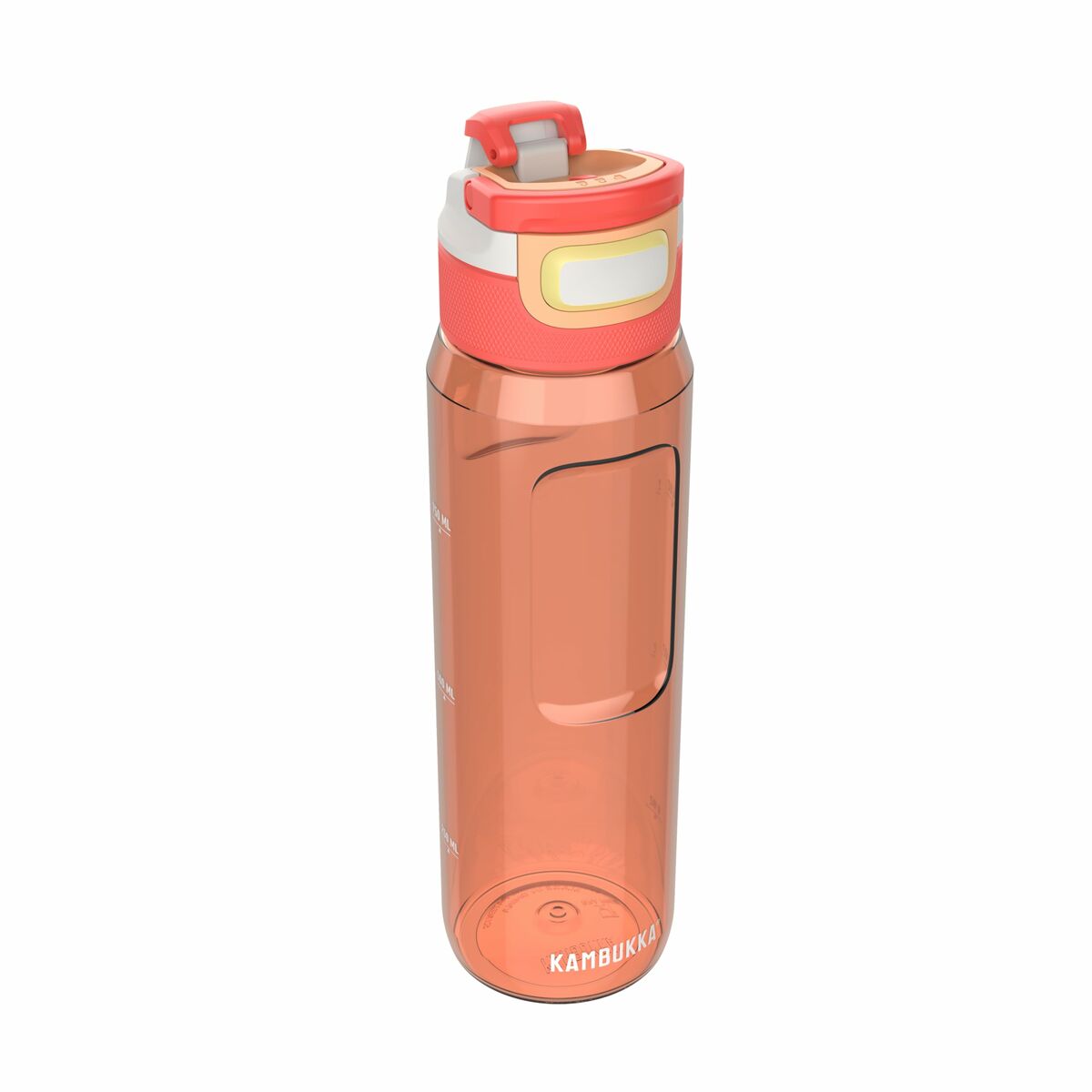 V4H6C69DDFBE3E1113A27DEB3AB64A42BF8R6831505P3