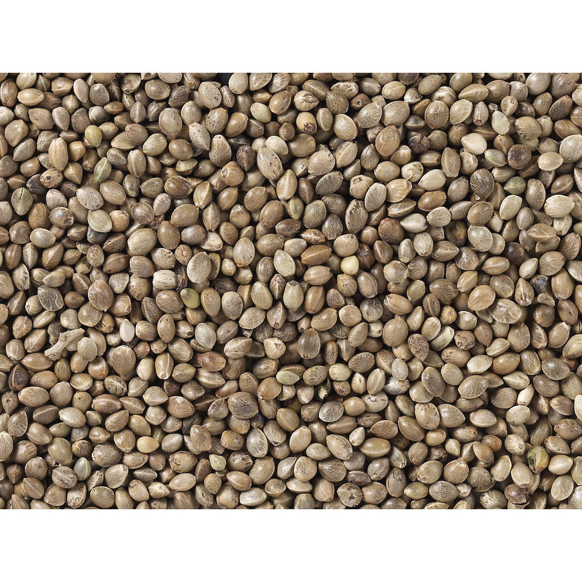 V6H3444AACA27DE0BDF928B67A31FB998A4R7449982P3