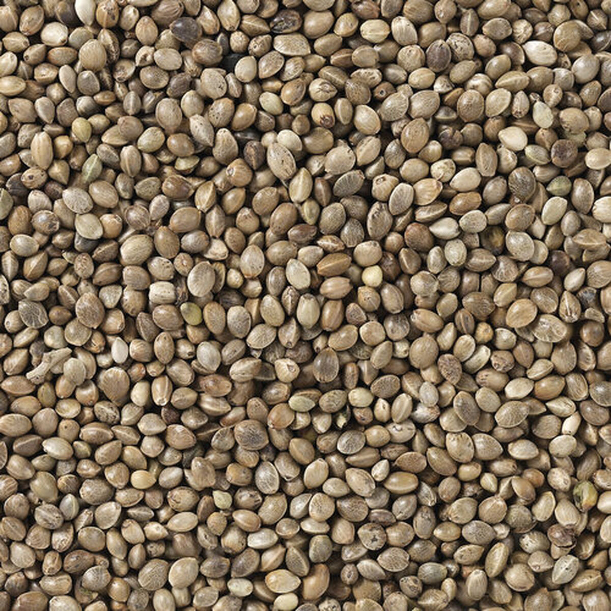 V6H39BCC0A9733A2E4DDC9CCC58BDF7271DR7449983P4