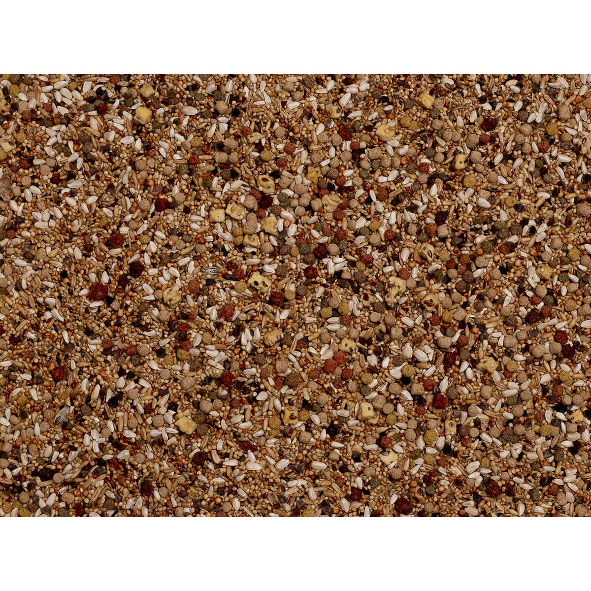 V4H0C7E39B87DCB74BC3E523F54D165EB49R7450570P3