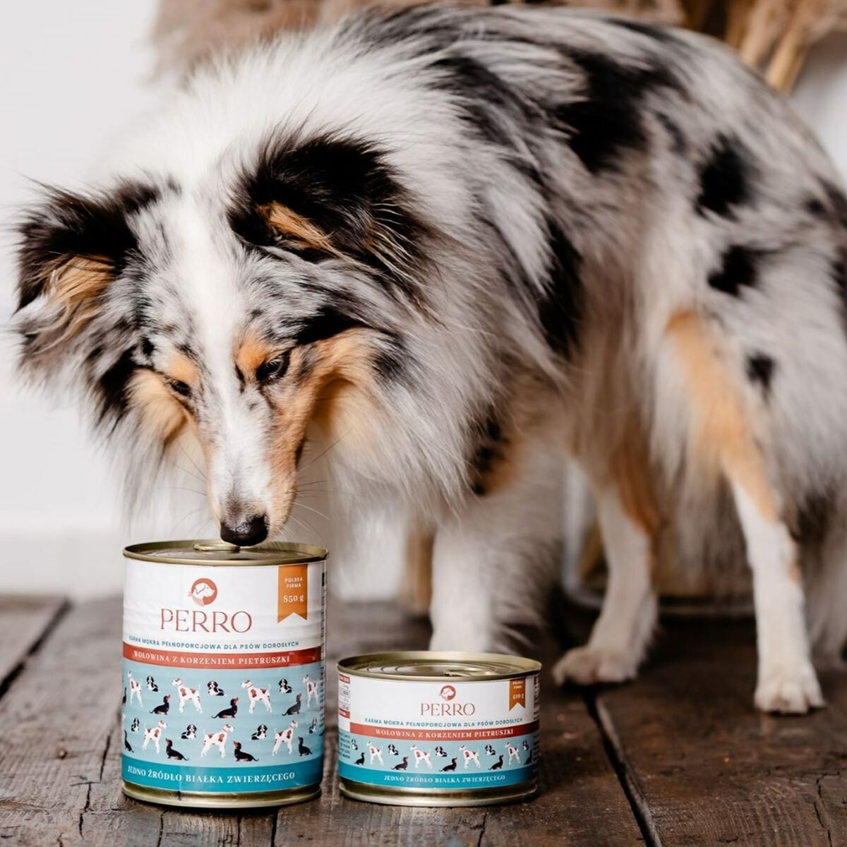 V2H80F0DDD537A5A455EFF448969B2C4EAFR5853876P2