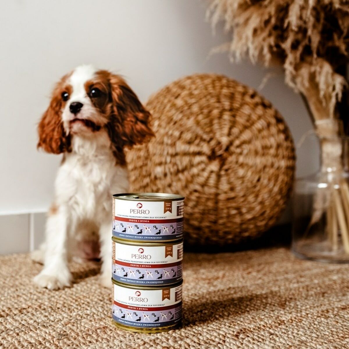 V3H446062D7B218F9D0862994BFFCEC8875R4690282P2