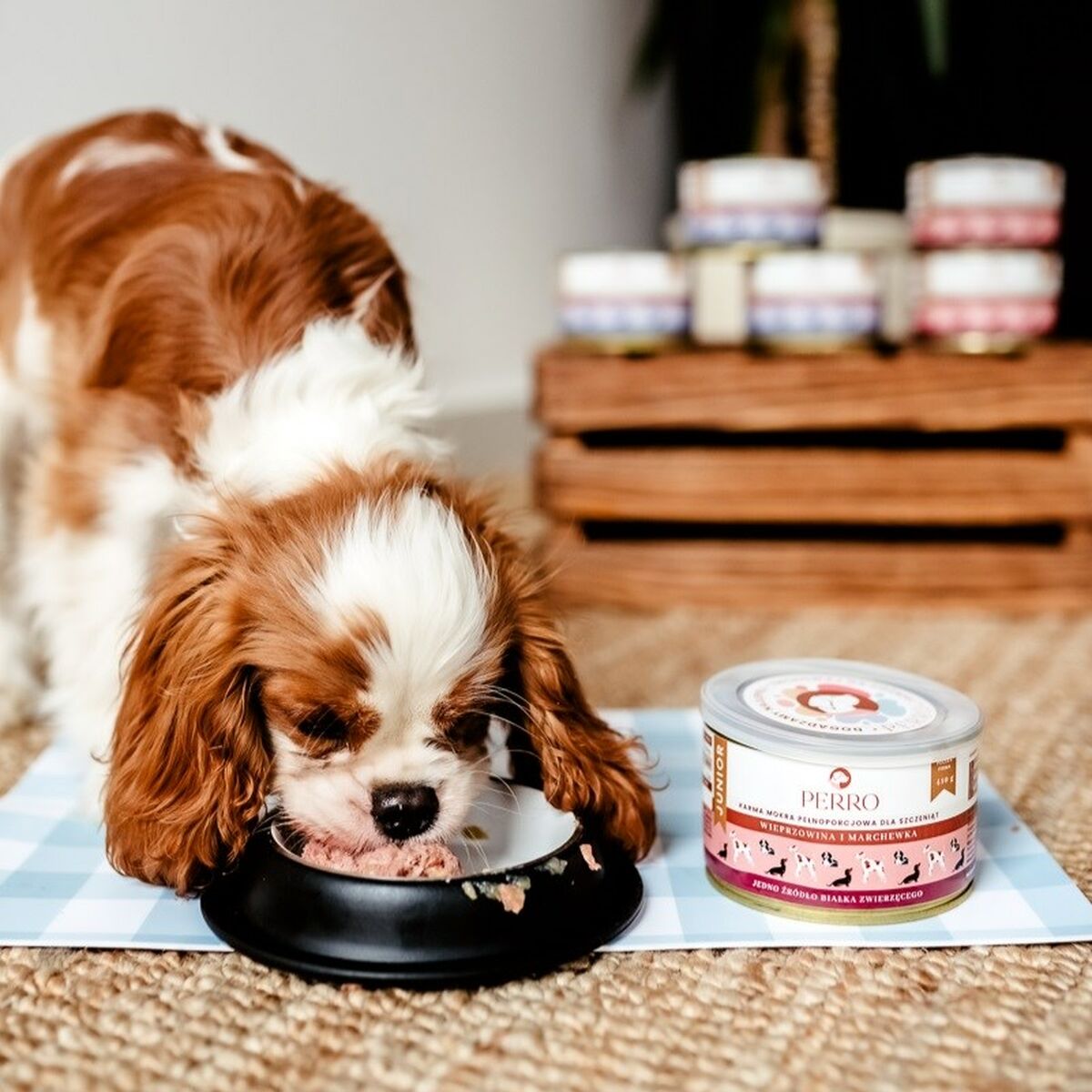 V2H0E18195E2183968B92197D0FC6CC7DA9R5854276P2