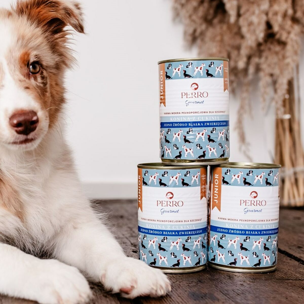 V2H94CDEC3529751887DB5BC63C6E66E201R5867430P2